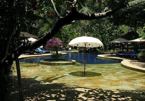 Rambutan Boutique Hotel Lovina (Bali) Exterior photo